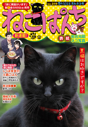 ねこぱんちNo.219　夏の花火と涼みネコ号