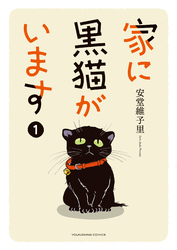 家に黒猫がいます