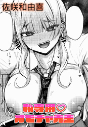 私専用 オモチャ先生