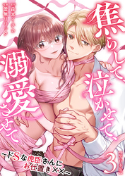 焦らして、泣かせて、溺愛させて～ドSな虎臣さんにお仕置き××～　単行本版 3巻