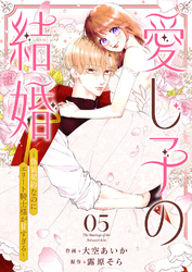 愛し子の結婚～偽装契約なのにエリート騎士様が甘すぎる～５