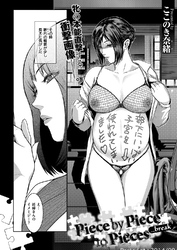 Piece by Piece to Pieces _break