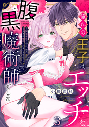 憧れの王子は、エッチな腹黒魔術師でした～閨指導係なのに、彼のミダラな魔法にかないません！～(3)