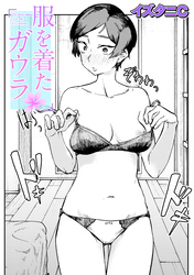 服を着たガウラ