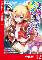 追放された冒険者たちはXXXなダンジョンでなりあがる！【分冊版】１２