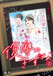 復讐のきずな～完璧夫には５人の妻がいました～(3)