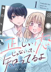 正しい恋じゃないって、知ってるよ【単行本版描き下ろし漫画付き】 1巻