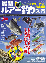 最新ルアー釣り入門