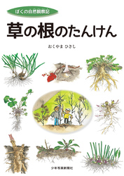 草の根のたんけん