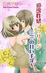 愛欲性感マッサージ～王子の甘い手淫～ 3