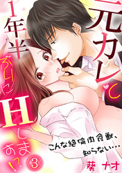 元カレと1年半ぶりにＨします！？～こんな絶倫肉食獣、知らない…～(3)